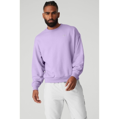 Alo Yoga Accolade Crew Neck Oberbekleidung Herren Lila | LGOIEV318