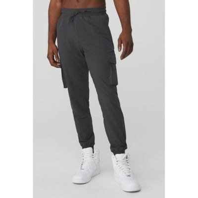 Alo Yoga Cargo Division Field Hose Herren Grau | GSPDZH713