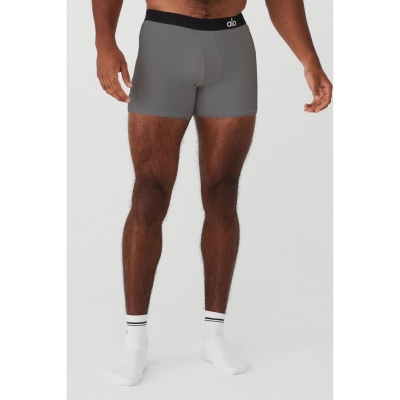 Alo Yoga Day And Night Boxer Brief Unterwäsche Herren Grau | HDZFLP439