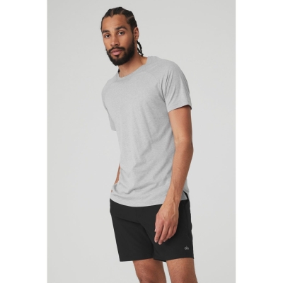 Alo Yoga The Triumph Crew Neck Tee Short Sleeve Herren Grau | JFOPUA435