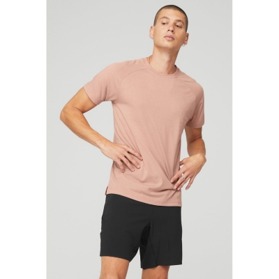 Alo Yoga The Triumph Crew Neck Tee Short Sleeve Herren Rosa Grau | JTXBNF149