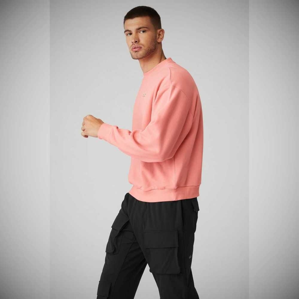 Alo Yoga Accolade Crew Neck Oberbekleidung Herren Rosa | XCBMWR234