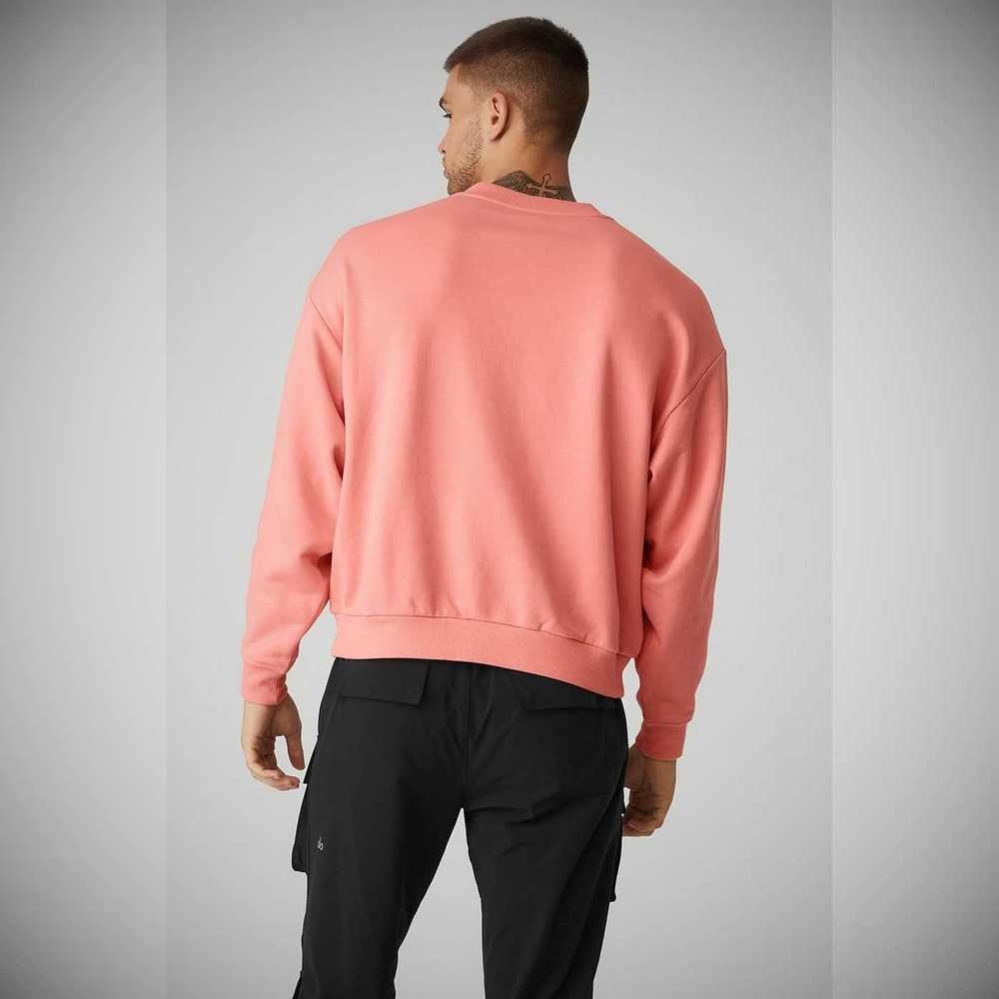 Alo Yoga Accolade Crew Neck Oberbekleidung Herren Rosa | XCBMWR234