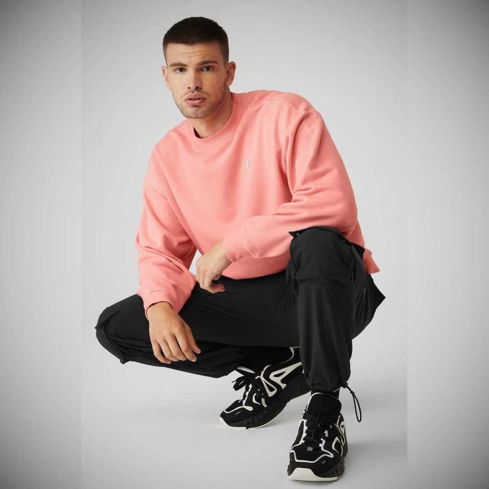 Alo Yoga Accolade Crew Neck Oberbekleidung Herren Rosa | XCBMWR234