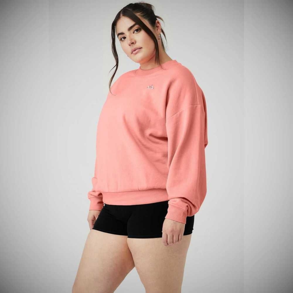 Alo Yoga Accolade Crew Neck Pullover Damen Rosa | KZIPYA271