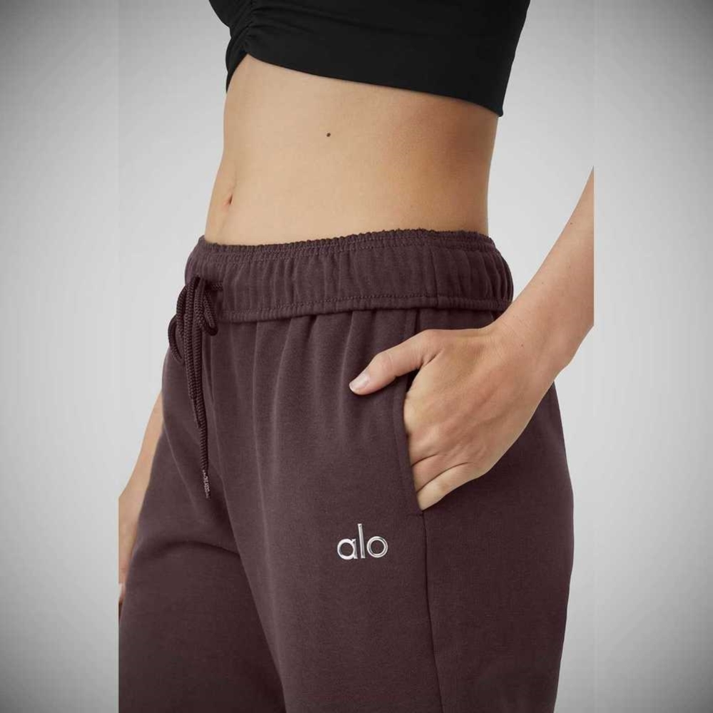 Alo Yoga Accolade Gerade Leg Sweathose Damen Lila Grau | SPFXZH249