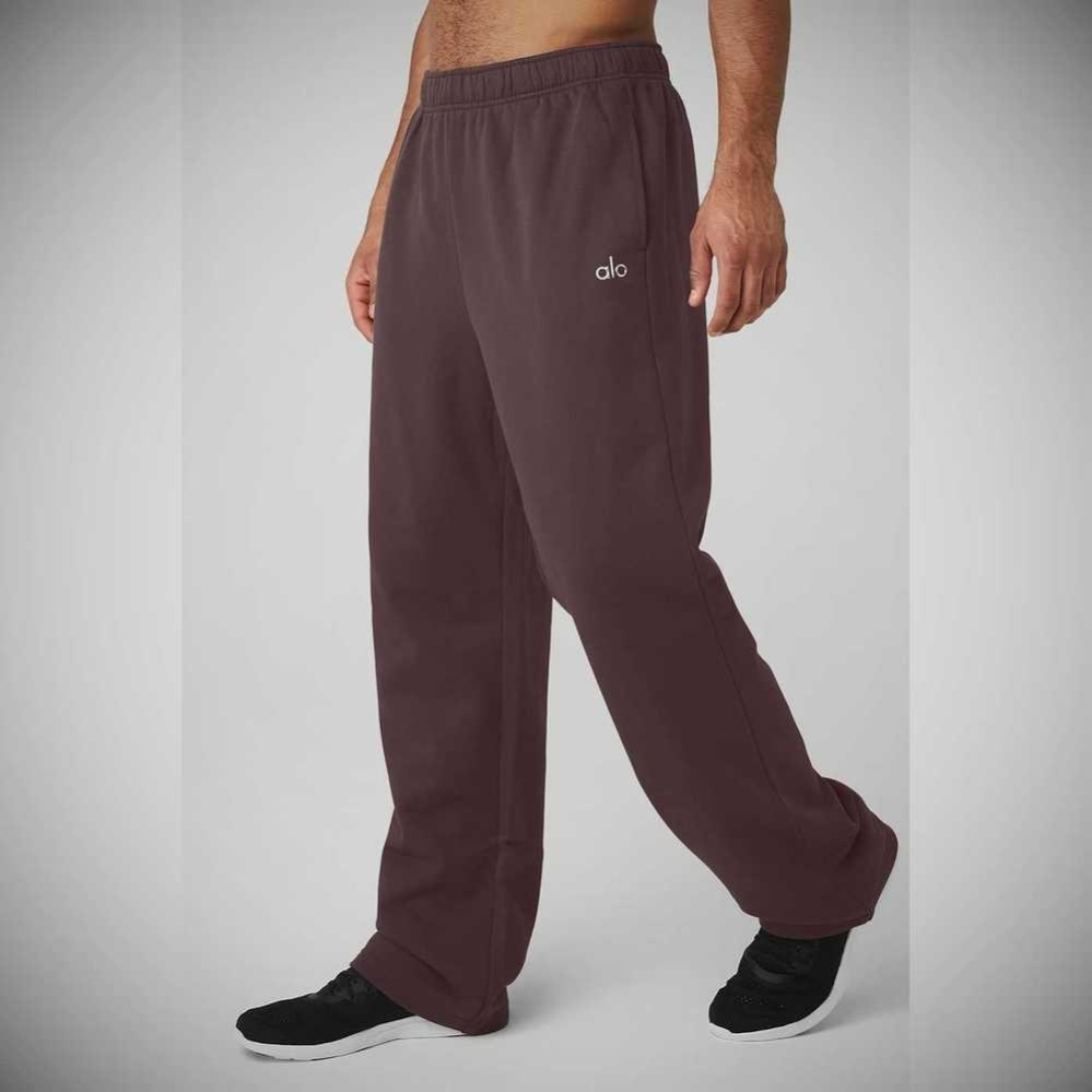 Alo Yoga Accolade Gerade Leg Sweathose Herren Lila Grau | DSZGAP654