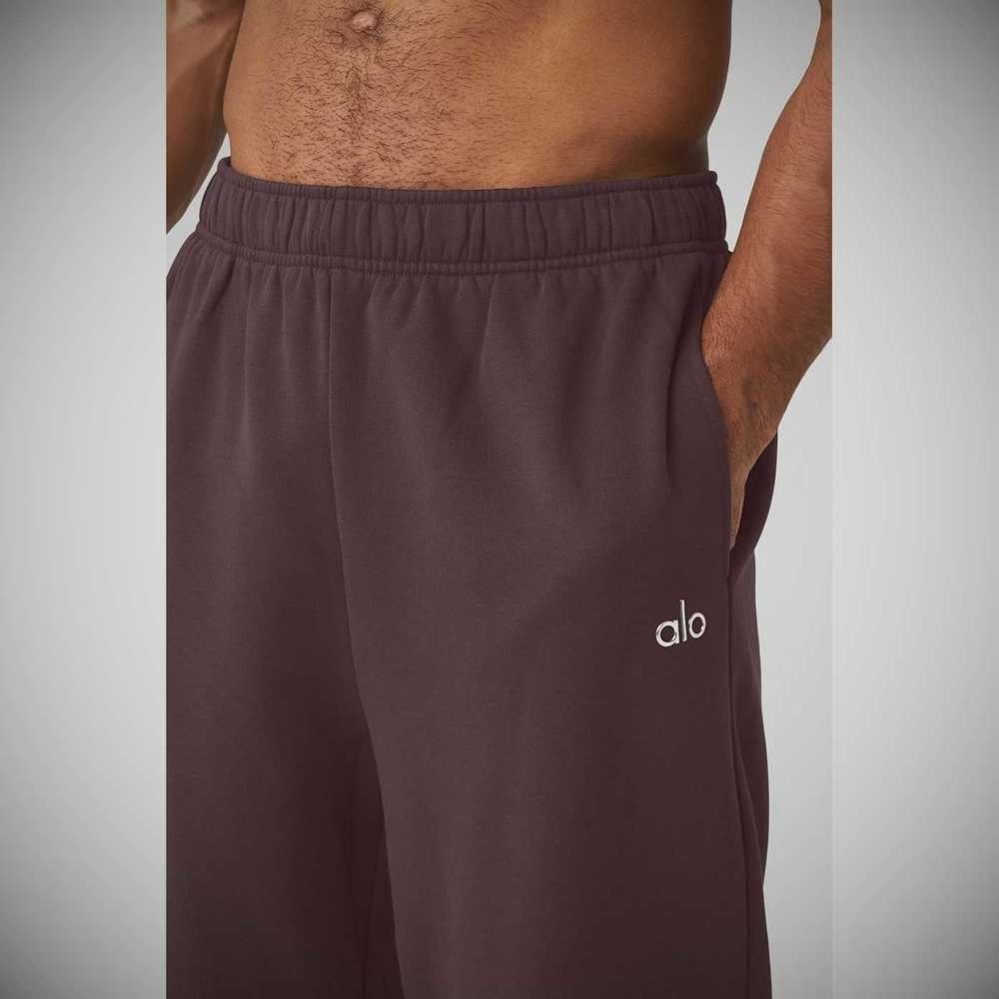 Alo Yoga Accolade Gerade Leg Sweathose Herren Lila Grau | DSZGAP654