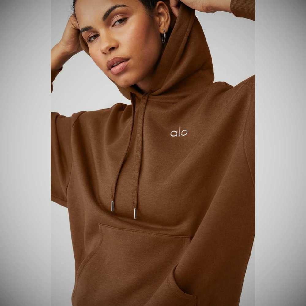 Alo Yoga Accolade Hoodie Damen Braun | KLIGYP091