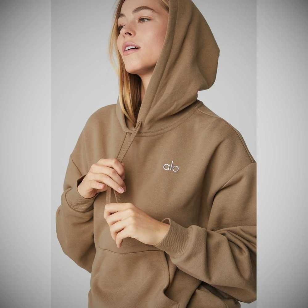 Alo Yoga Accolade Hoodie Damen Braun | VTQHCE269