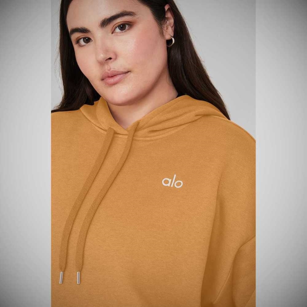 Alo Yoga Accolade Hoodie Damen Toffee | PZRLHO743