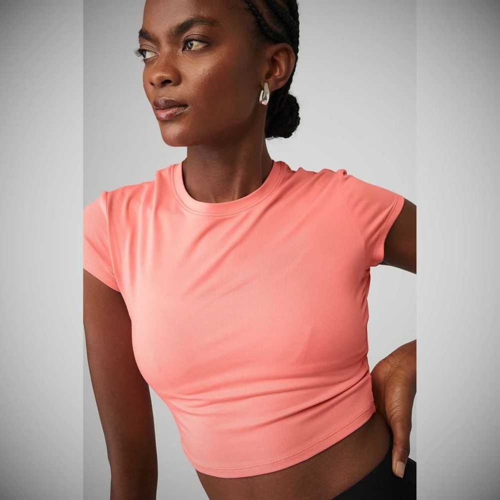 Alo Yoga Alosoft Crop Finesse Short Sleeve Damen Rosa | BHSFUE815