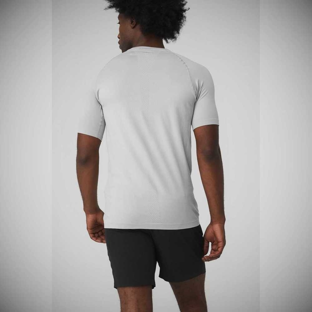 Alo Yoga Amplify Seamless Tee Short Sleeve Herren Grau | IJAKLR148