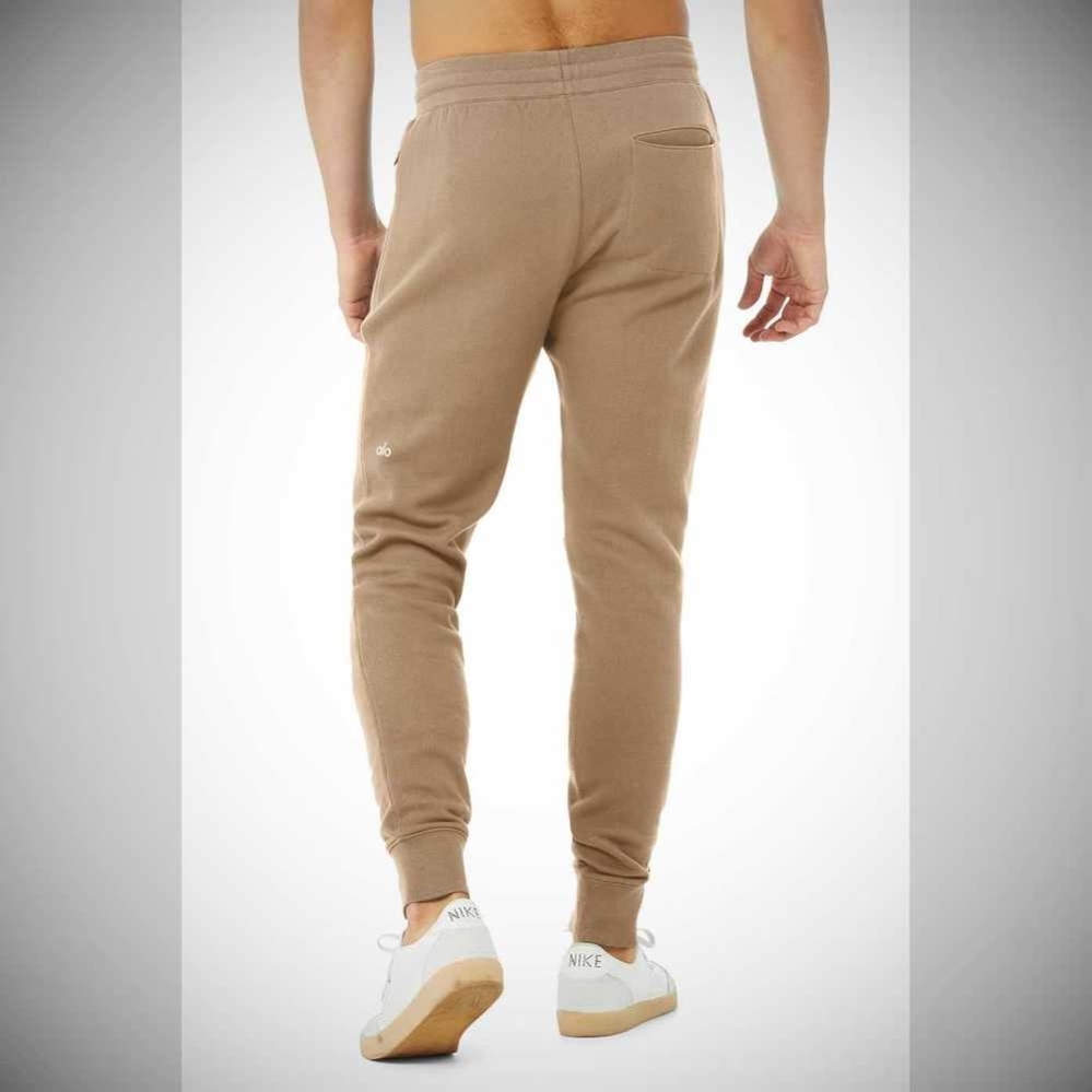 Alo Yoga Baseline Sweathose Herren Braun | JCEGPL421