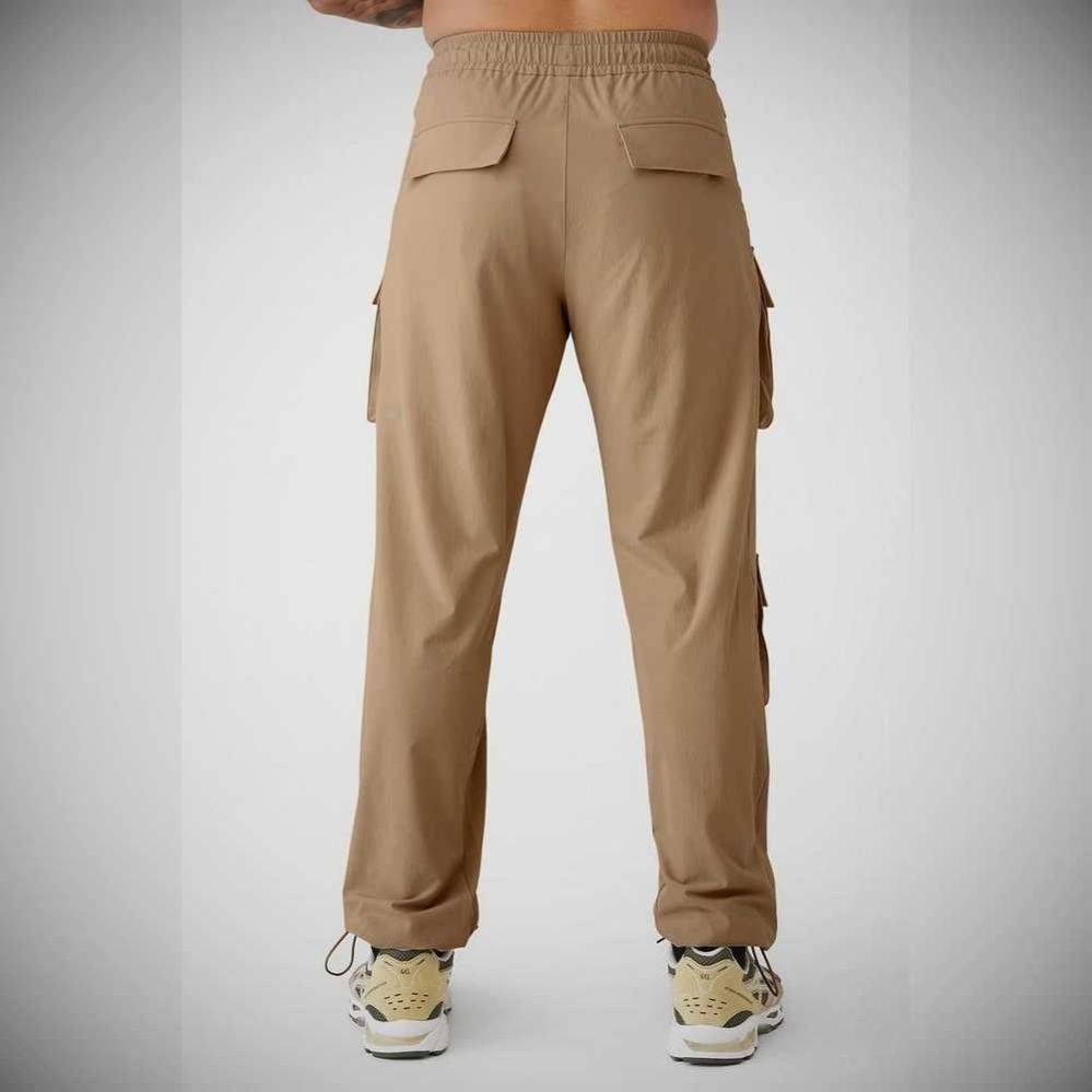 Alo Yoga Cargo Venture Hose Herren Braun | CKMFJN418