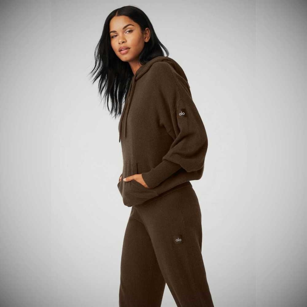 Alo Yoga Cashmere Jet Set Hoodie Damen Kaffee | QFUAWI086