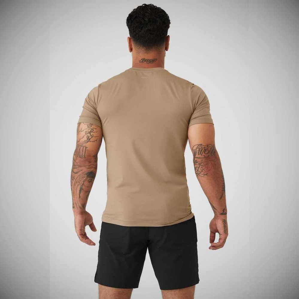 Alo Yoga Conquer Reform Crewneck Short Sleeve Herren Braun | NDZFQJ248