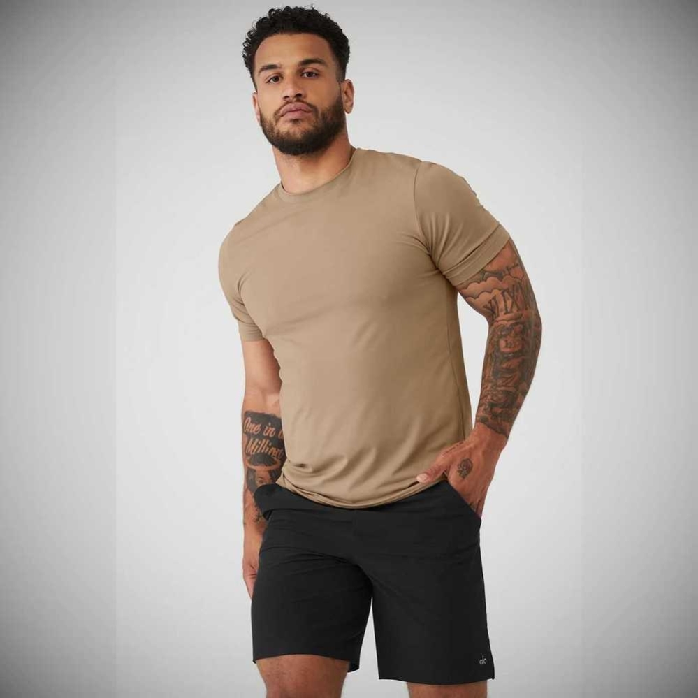 Alo Yoga Conquer Reform Crewneck Short Sleeve Herren Braun | NDZFQJ248