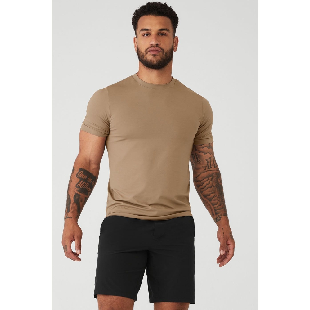 Alo Yoga Conquer Reform Crewneck Short Sleeve Herren Braun | NDZFQJ248