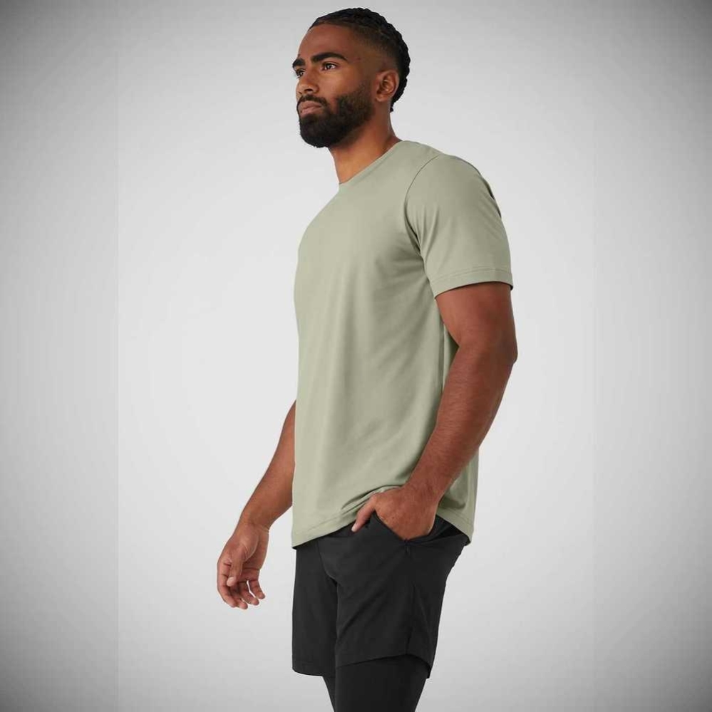 Alo Yoga Conquer Reform Crewneck Short Sleeve Herren Grau | VBOJDU476