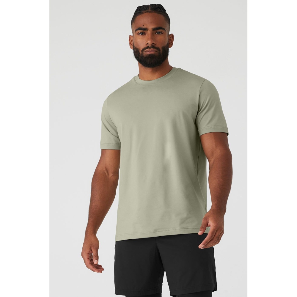 Alo Yoga Conquer Reform Crewneck Short Sleeve Herren Grau | VBOJDU476