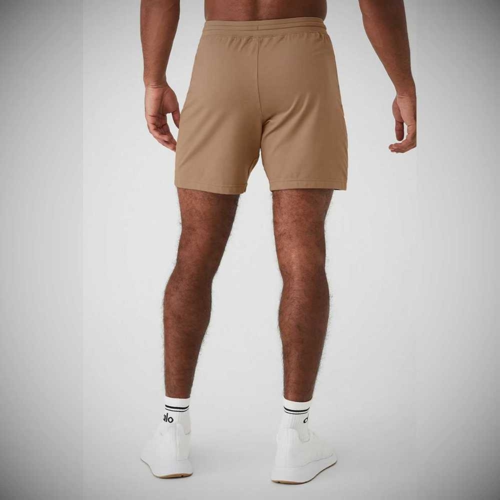 Alo Yoga Conquer Reform Kurze Hose Herren Braun | QGZKOP053