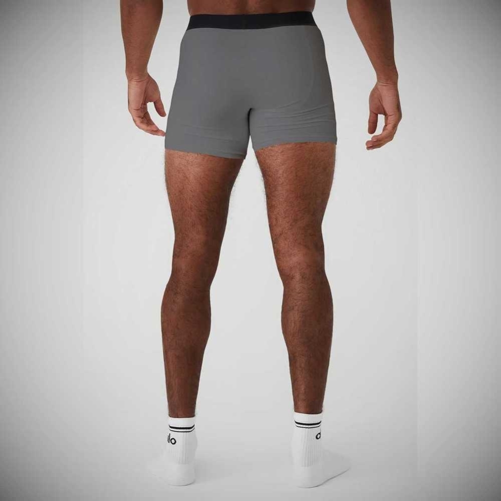 Alo Yoga Day And Night Boxer Brief Unterwäsche Herren Grau | HDZFLP439