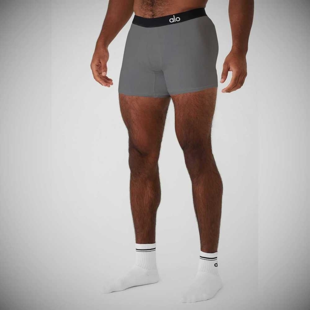 Alo Yoga Day And Night Boxer Brief Unterwäsche Herren Grau | HDZFLP439