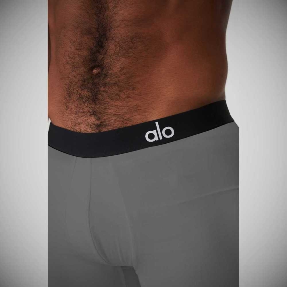 Alo Yoga Day And Night Boxer Brief Unterwäsche Herren Grau | HDZFLP439