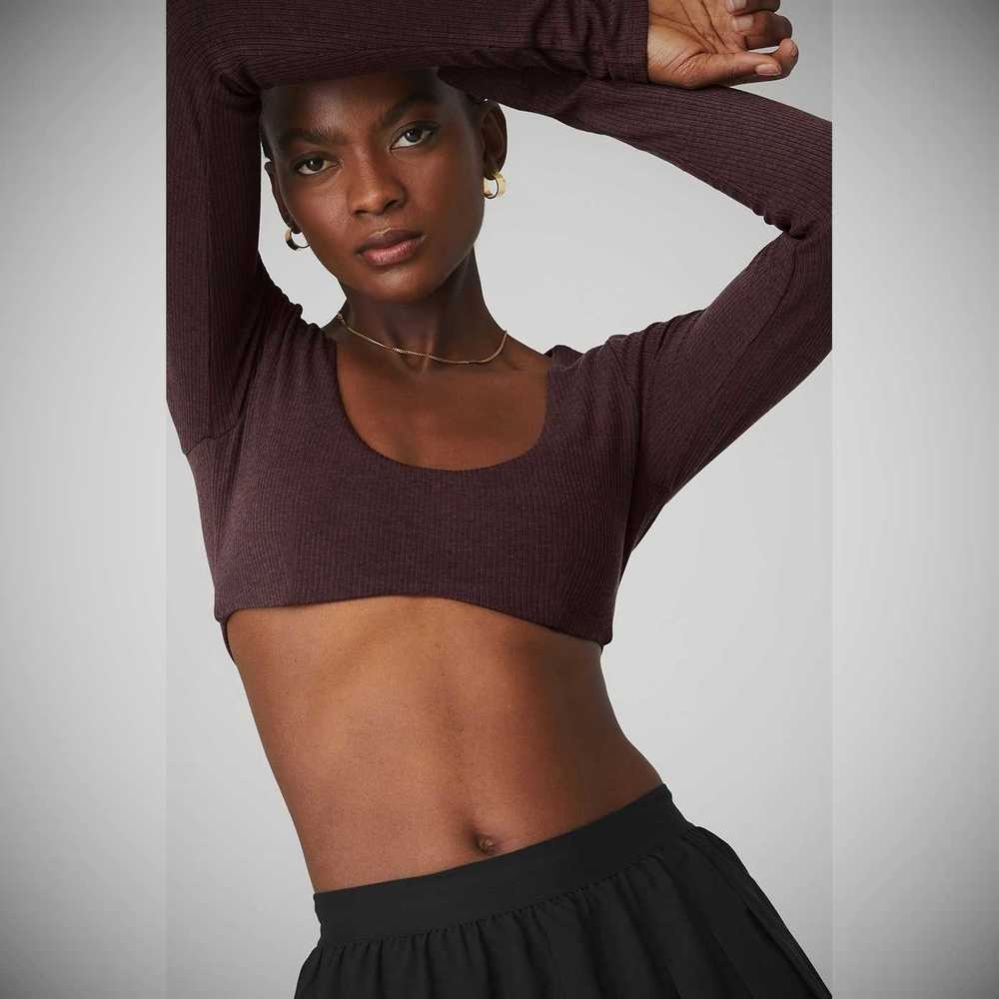 Alo Yoga Gerippt Defined Long Sleeve Bra Damen Lila Grau | TJLIMW938