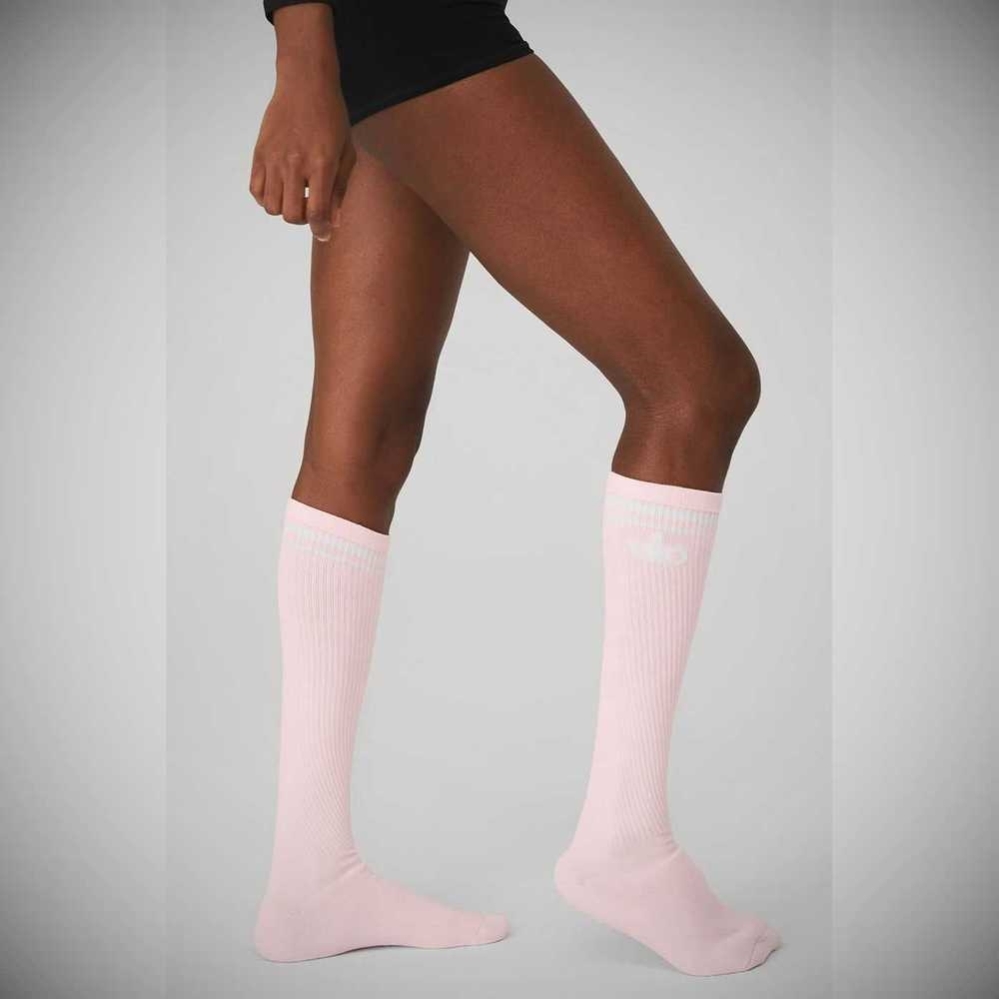 Alo Yoga Knee-High Throwback Barre Socken Damen Rosa Weiß | PXCORL042