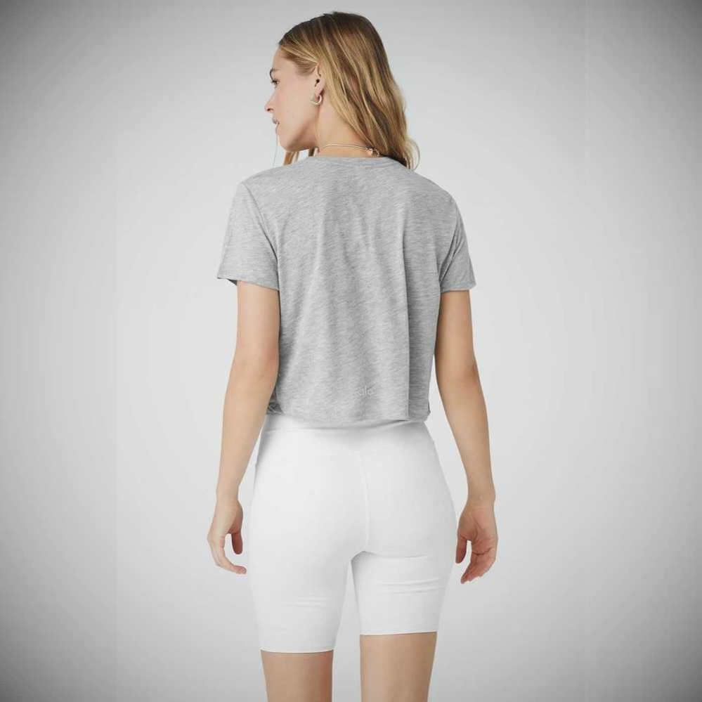 Alo Yoga Laid Back Tee Short Sleeve Damen Grau | LFPCZU984