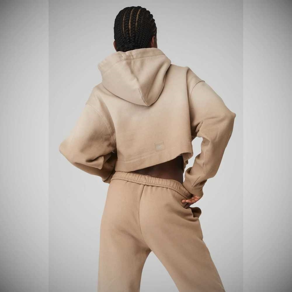 Alo Yoga Ombre Bae Hoodie Damen Sandstorm | JSBYRC540