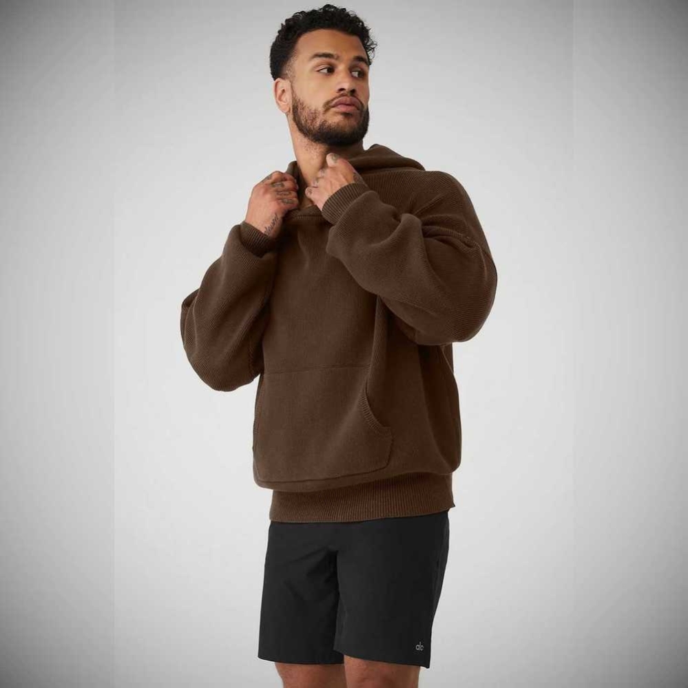 Alo Yoga Scholar Mit Kapuze Pullover Oberbekleidung Herren Kaffee | ZMRLCS598