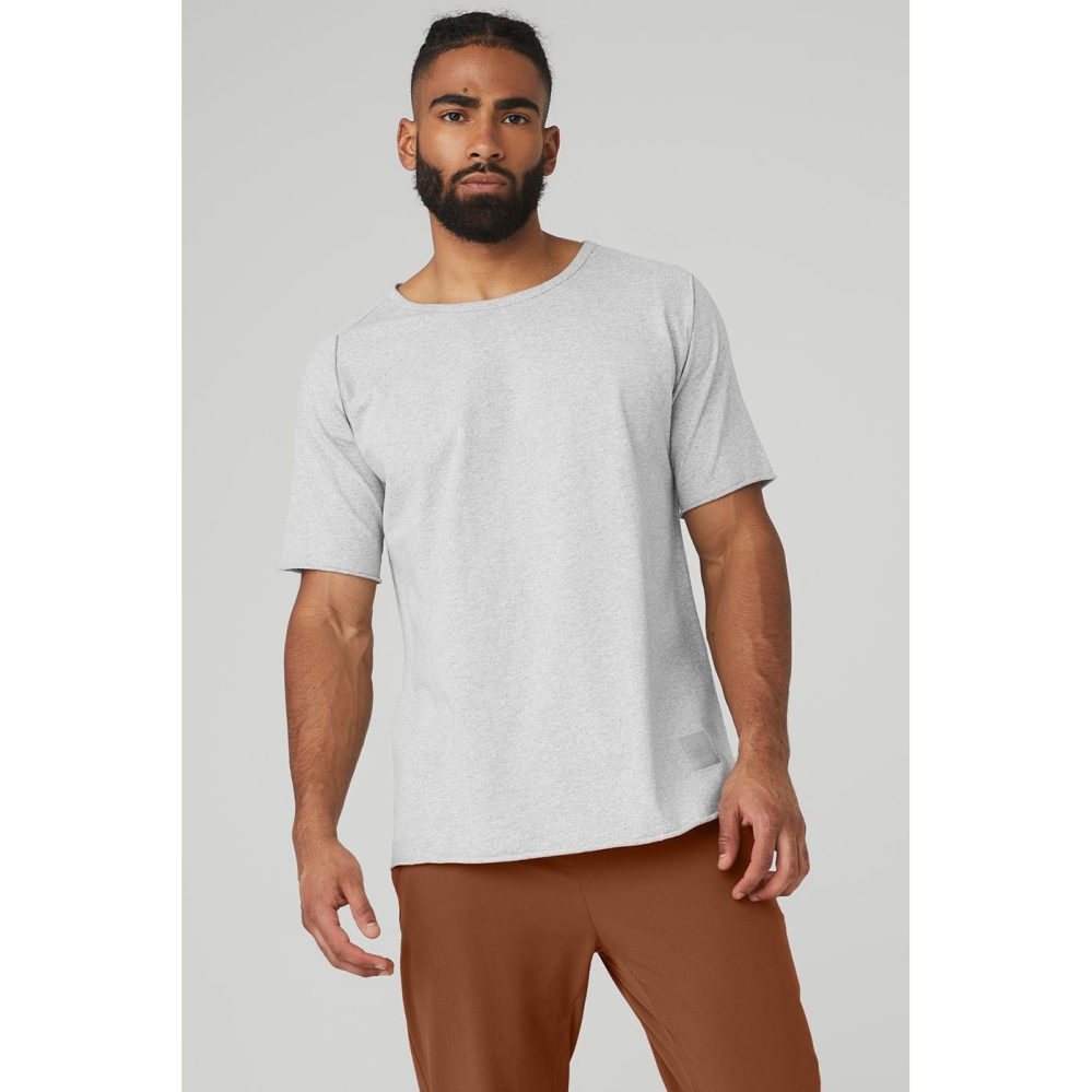 Alo Yoga Society Crewneck Tee Short Sleeve Herren Grau | JVDPEM810