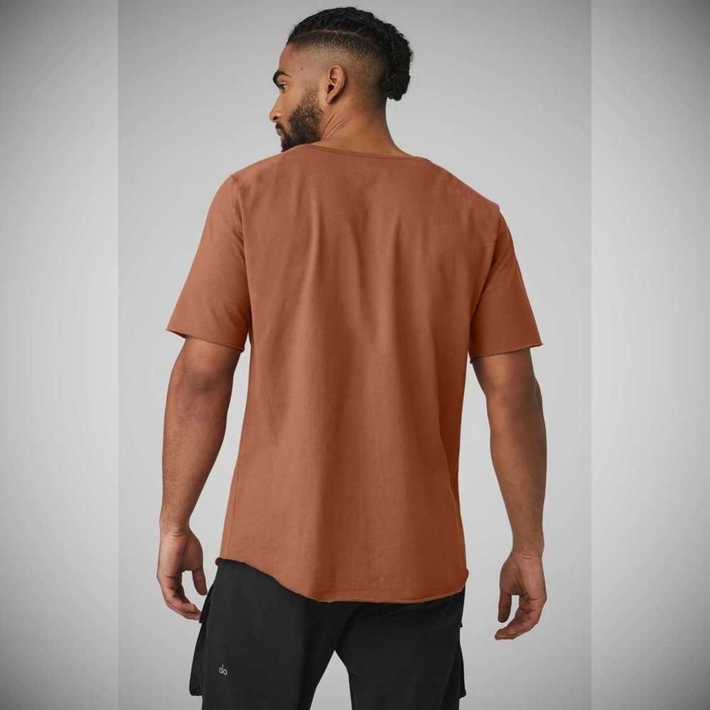 Alo Yoga Society Crewneck Tee Short Sleeve Herren Rust | WOQGIZ780