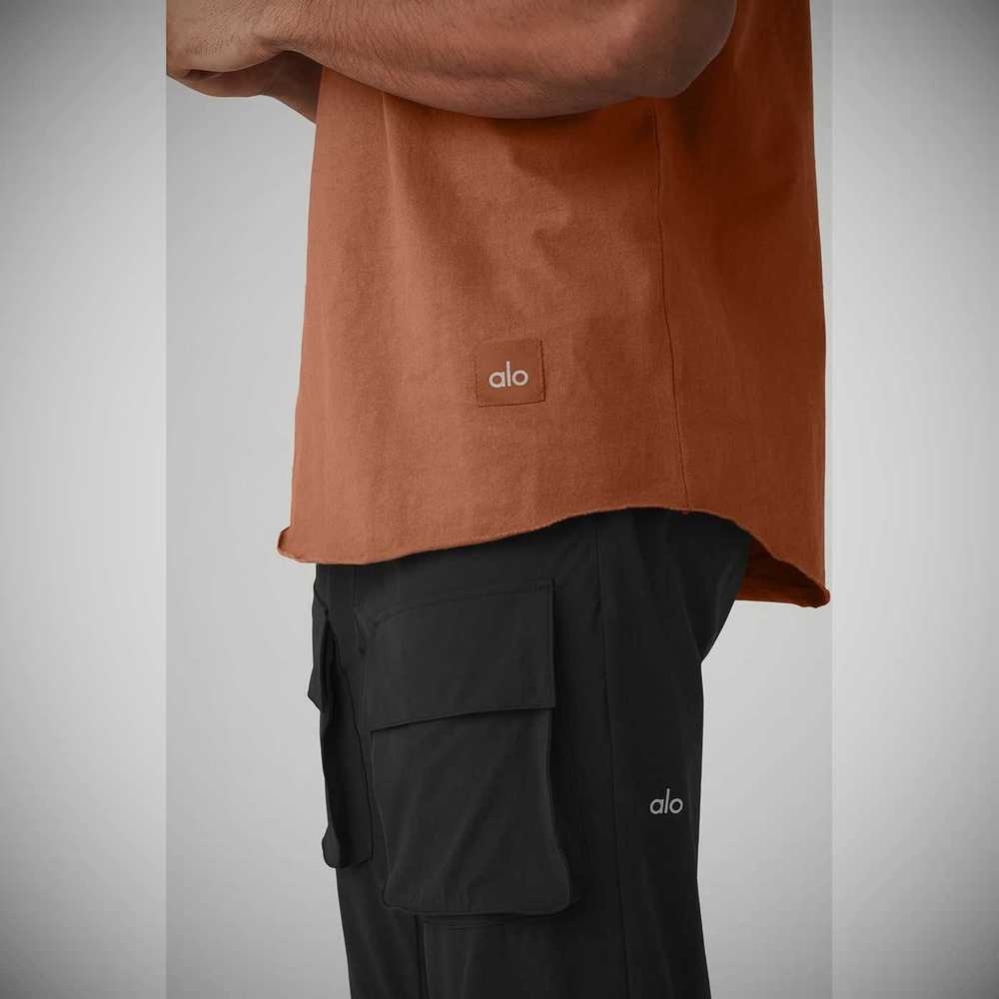 Alo Yoga Society Crewneck Tee Short Sleeve Herren Rust | WOQGIZ780