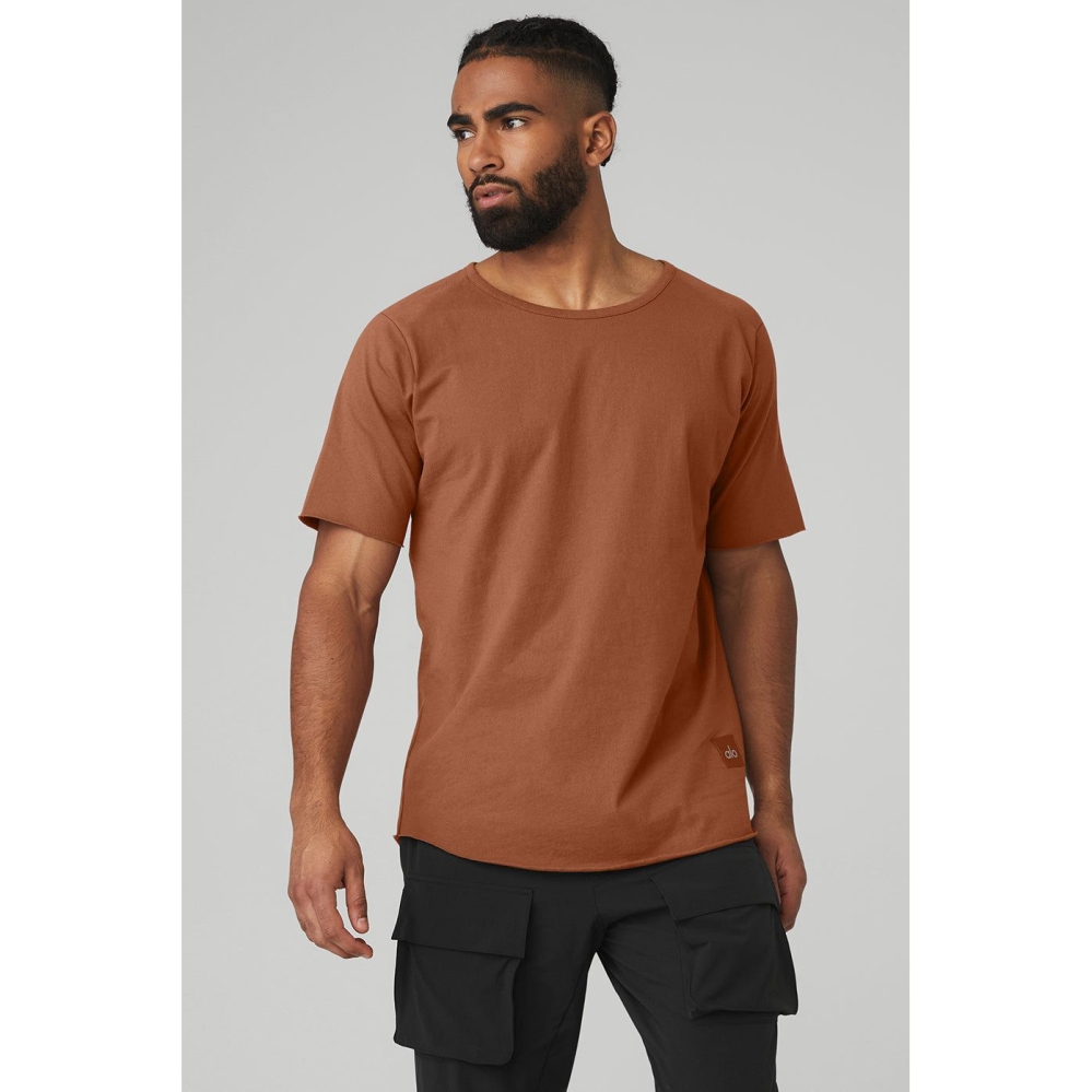 Alo Yoga Society Crewneck Tee Short Sleeve Herren Rust | WOQGIZ780