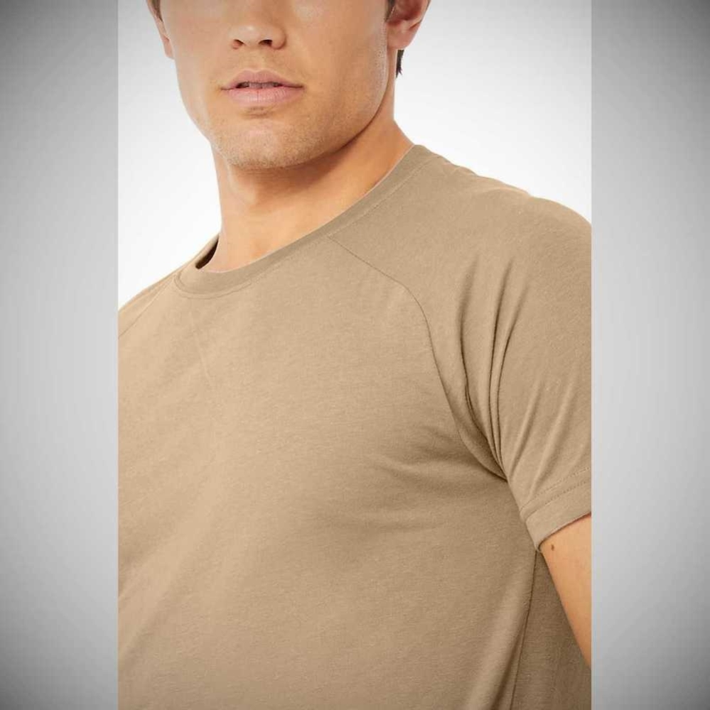 Alo Yoga The Triumph Crew Neck Tee Short Sleeve Herren Braun | HRLZSB491