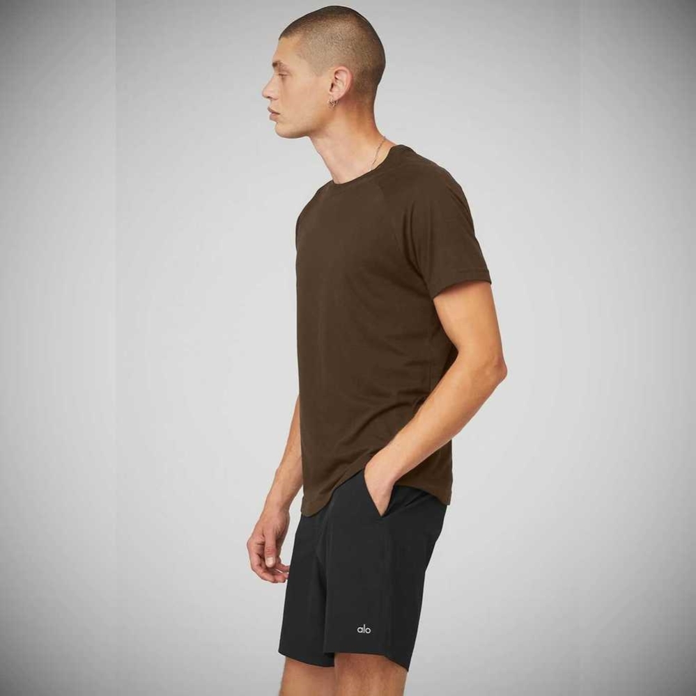 Alo Yoga The Triumph Crew Neck Tee Short Sleeve Herren Kaffee | IVAKOD850