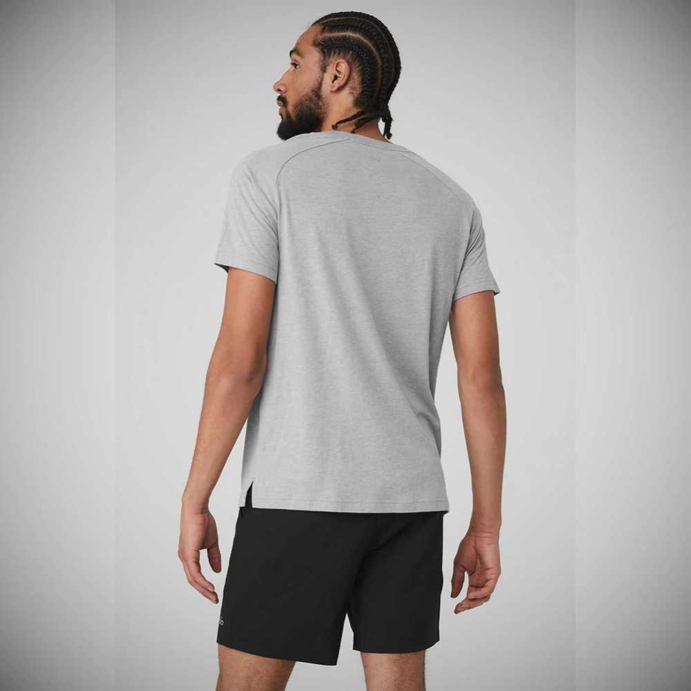 Alo Yoga The Triumph Crew Neck Tee Short Sleeve Herren Grau | JFOPUA435