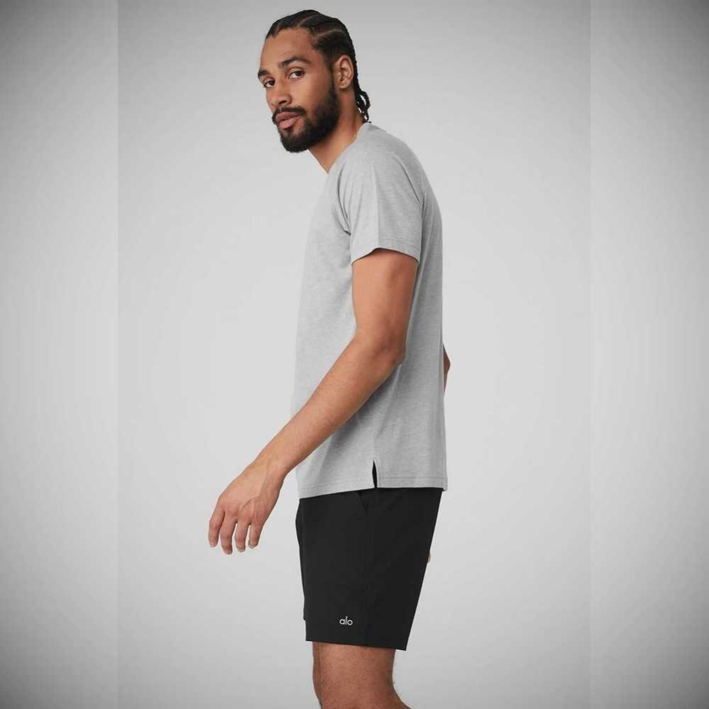 Alo Yoga The Triumph Crew Neck Tee Short Sleeve Herren Grau | JFOPUA435