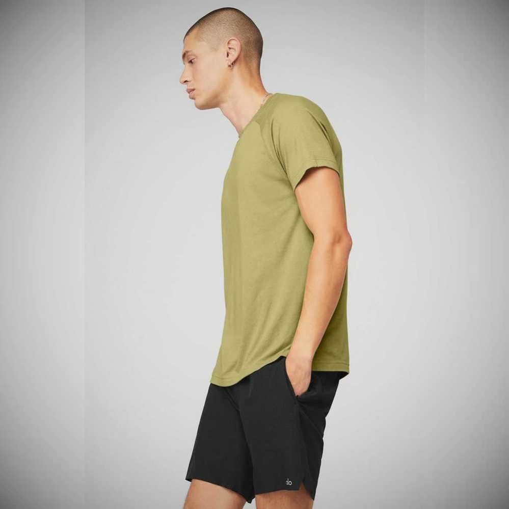 Alo Yoga The Triumph Crew Neck Tee Short Sleeve Herren Wasabi | JSOAWR723