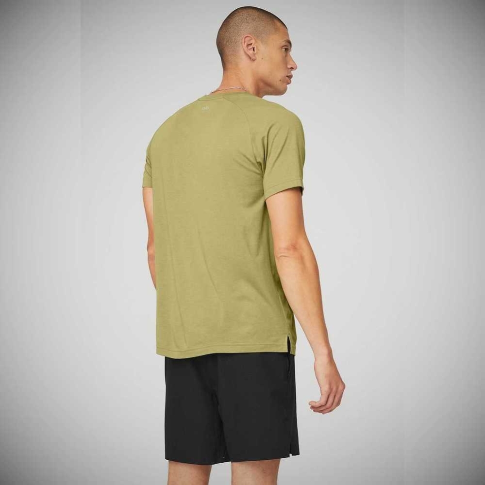 Alo Yoga The Triumph Crew Neck Tee Short Sleeve Herren Wasabi | JSOAWR723