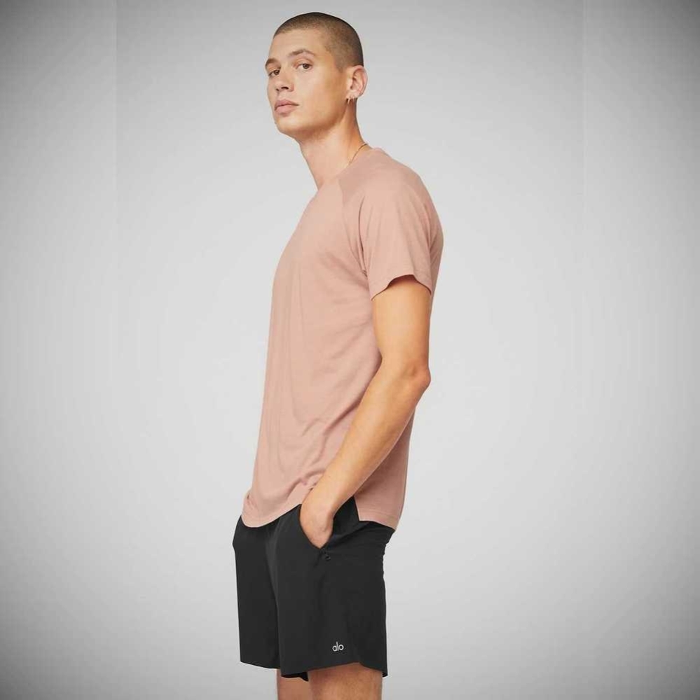 Alo Yoga The Triumph Crew Neck Tee Short Sleeve Herren Rosa Grau | JTXBNF149