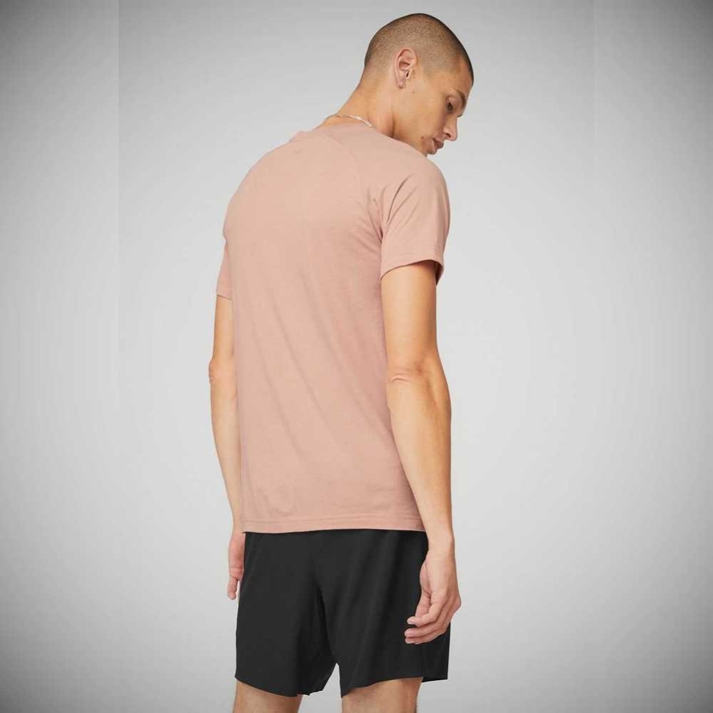 Alo Yoga The Triumph Crew Neck Tee Short Sleeve Herren Rosa Grau | JTXBNF149