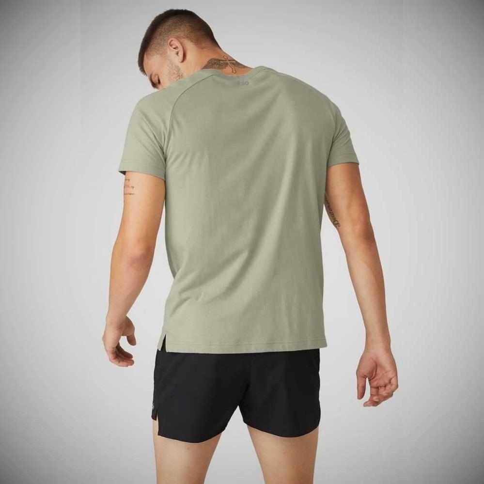 Alo Yoga The Triumph Crew Neck Tee Short Sleeve Herren Grau | TKLAIS914