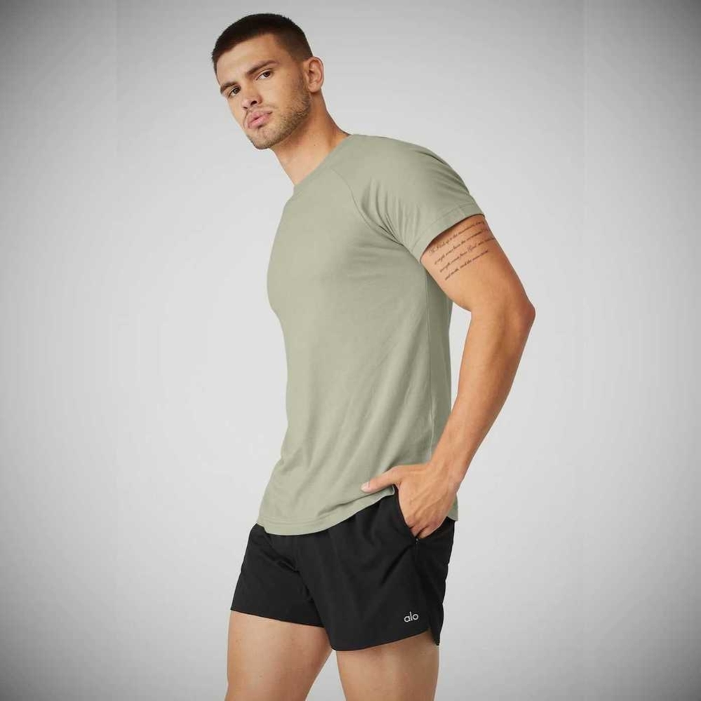 Alo Yoga The Triumph Crew Neck Tee Short Sleeve Herren Grau | TKLAIS914