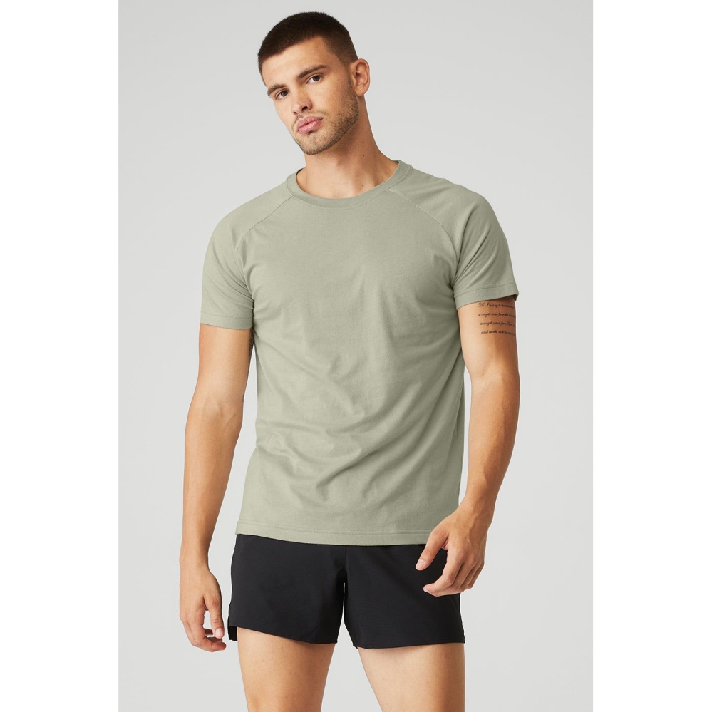 Alo Yoga The Triumph Crew Neck Tee Short Sleeve Herren Grau | TKLAIS914