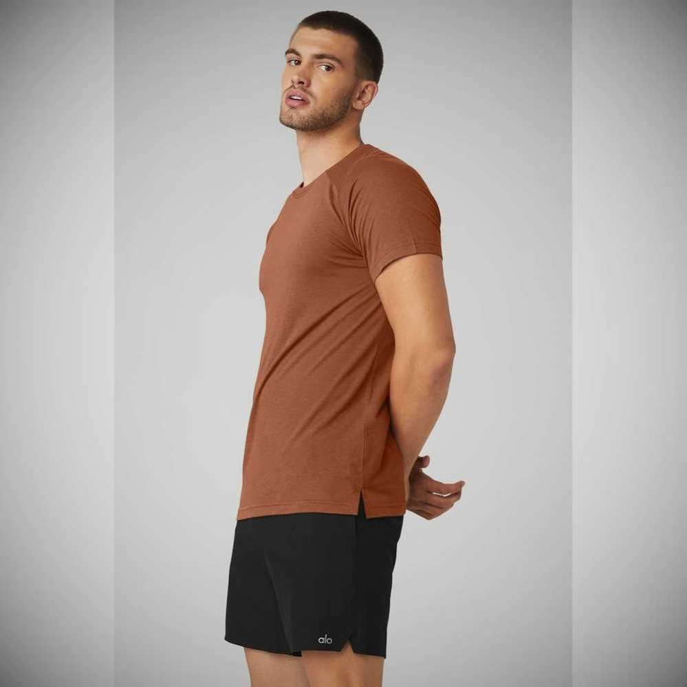 Alo Yoga The Triumph Crew Neck Tee Short Sleeve Herren Rust | WHCQGU356